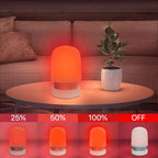 Red Light Lamp